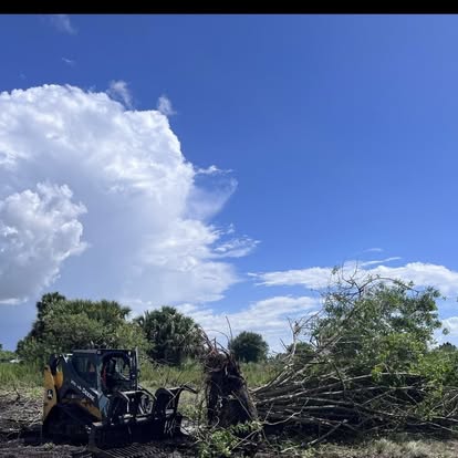 Sunshine-Grading-&-Clearing-Services (2)
